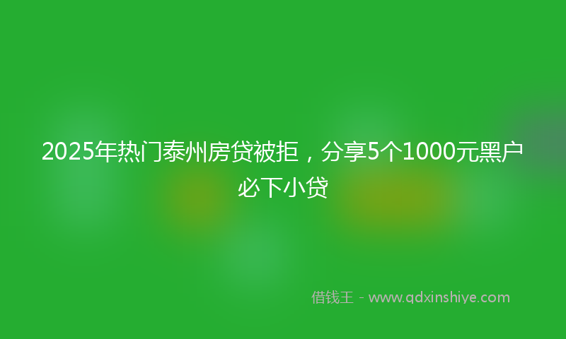 2025年热门泰州房贷被拒，分享5个1000元黑户必下小贷
