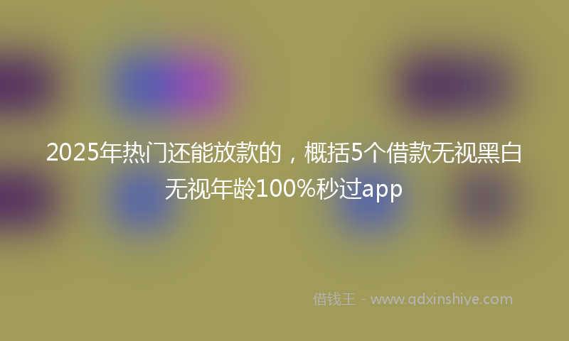 2025年热门还能放款的，概括5个借款无视黑白无视年龄100%秒过app