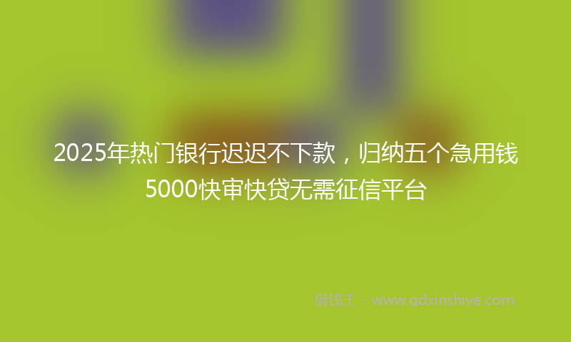 2025年热门银行迟迟不下款，归纳五个急用钱5000快审快贷无需征信平台