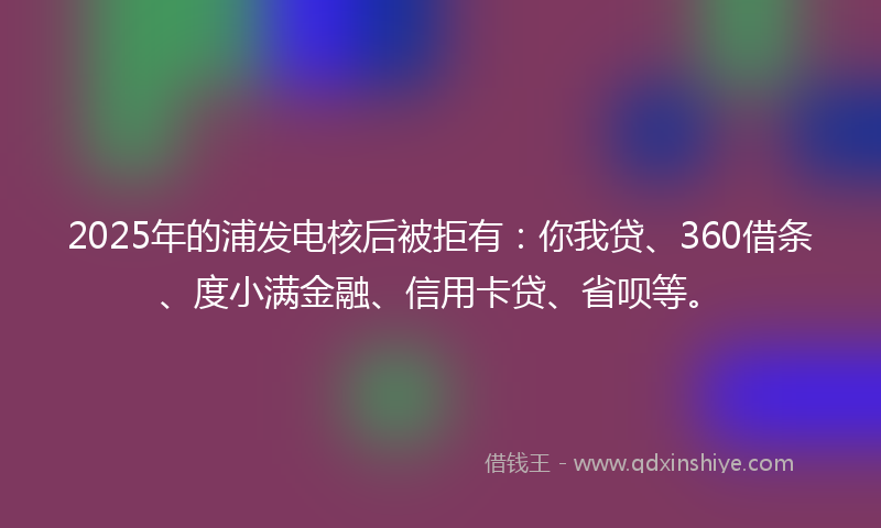 2025年的浦发电核后被拒有：你我贷、360借条、度小满金融、信用卡贷、省呗等。