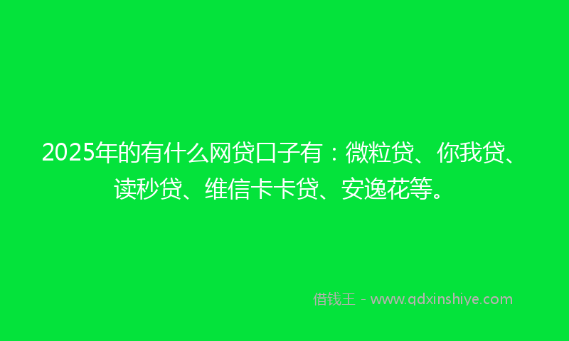 2025年的有什么网贷口子有：微粒贷、你我贷、读秒贷、维信卡卡贷、安逸花等。