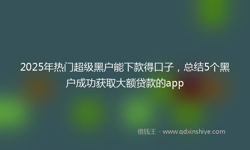 2025年热门超级黑户能下款得口子，总结5个黑户成功获取大额贷款的app