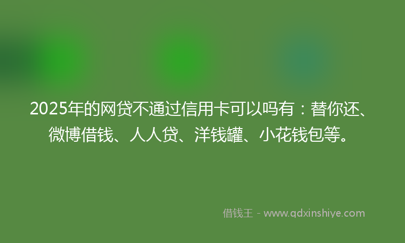 2025年的网贷不通过信用卡可以吗有：替你还、微博借钱、人人贷、洋钱罐、小花钱包等。