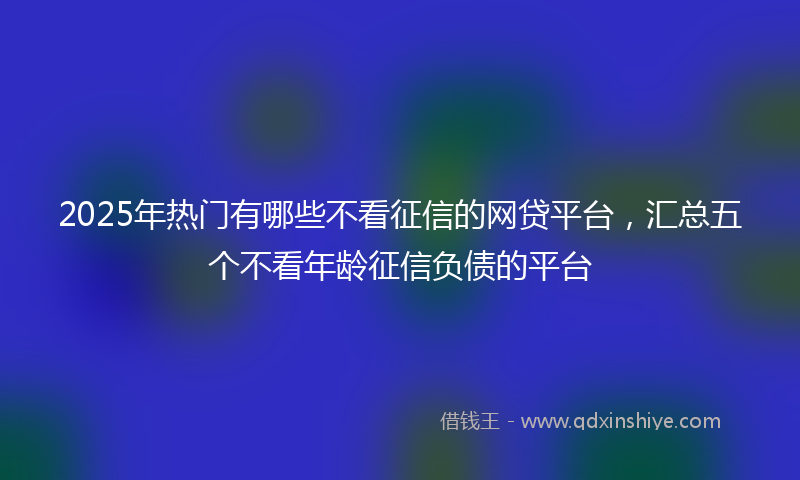 2025年热门有哪些不看征信的网贷平台，汇总五个不看年龄征信负债的平台