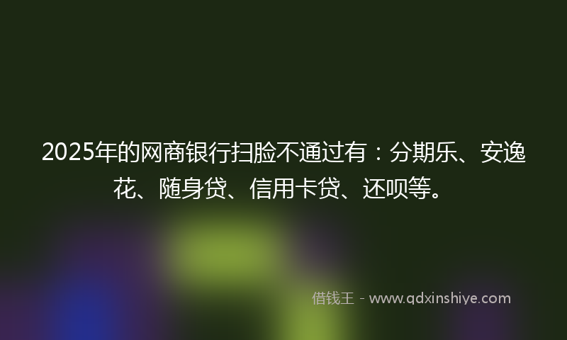 2025年的网商银行扫脸不通过有：分期乐、安逸花、随身贷、信用卡贷、还呗等。