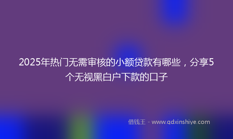 2025年热门无需审核的小额贷款有哪些，分享5个无视黑白户下款的口子