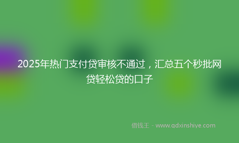 2025年热门支付贷审核不通过，汇总五个秒批网贷轻松贷的口子