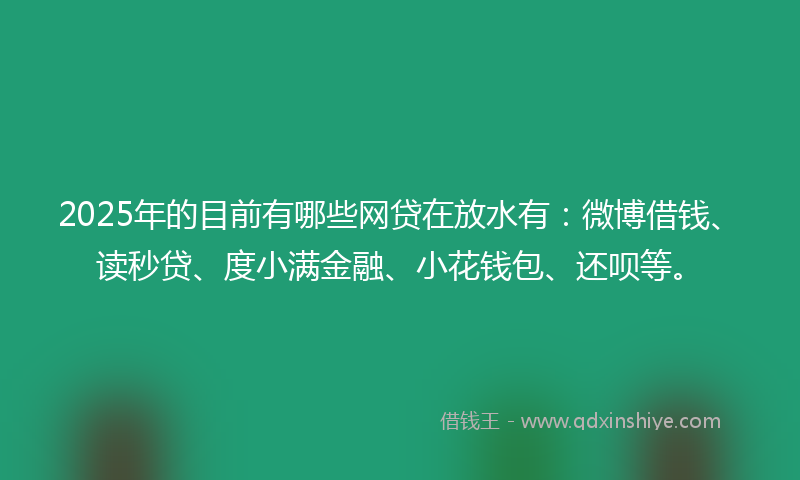 2025年的目前有哪些网贷在放水有：微博借钱、读秒贷、度小满金融、小花钱包、还呗等。