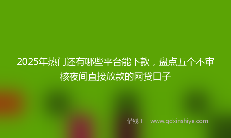 2025年热门还有哪些平台能下款，盘点五个不审核夜间直接放款的网贷口子