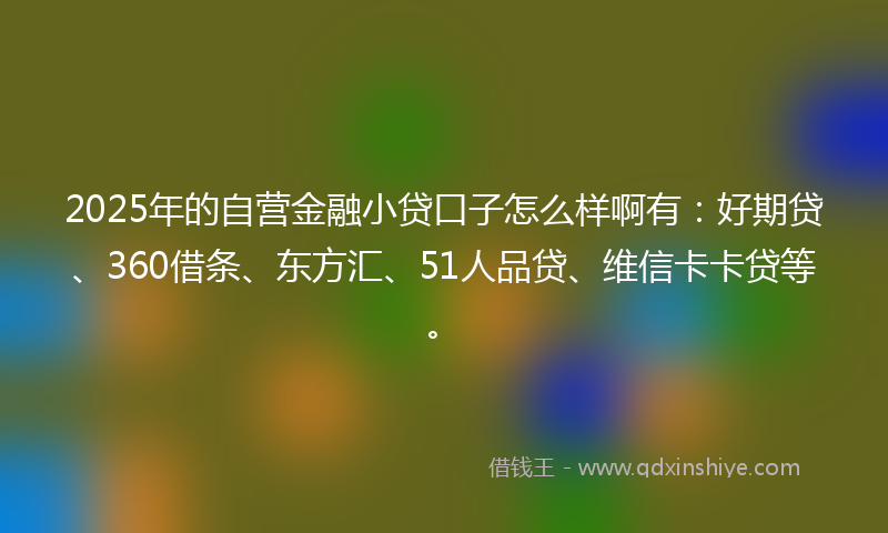 2025年的自营金融小贷口子怎么样啊有：好期贷、360借条、东方汇、51人品贷、维信卡卡贷等。