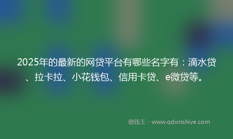 2025年的最新的网贷平台有哪些名字有：滴水贷、拉卡拉、小花钱包、信用卡贷、e微贷等。