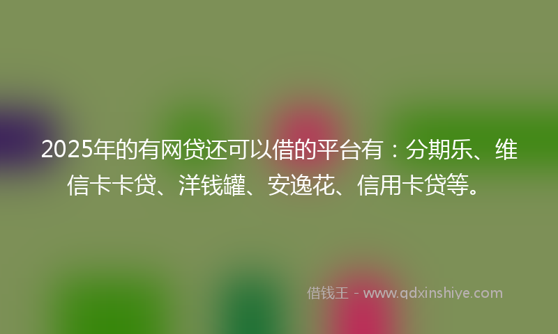 2025年的有网贷还可以借的平台有：分期乐、维信卡卡贷、洋钱罐、安逸花、信用卡贷等。