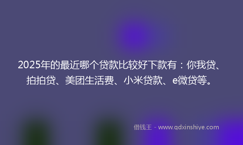 2025年的最近哪个贷款比较好下款有：你我贷、拍拍贷、美团生活费、小米贷款、e微贷等。