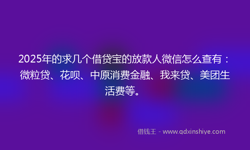 2025年的求几个借贷宝的放款人微信怎么查有：微粒贷、花呗、中原消费金融、我来贷、美团生活费等。