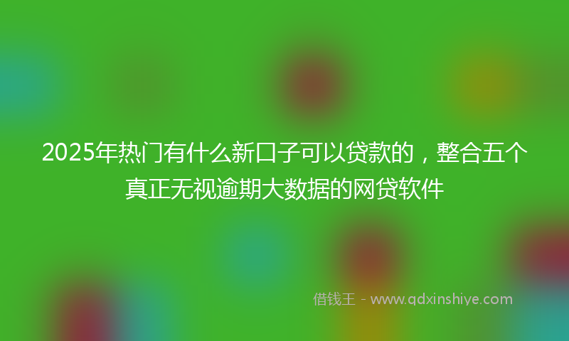 2025年热门有什么新口子可以贷款的，整合五个真正无视逾期大数据的网贷软件