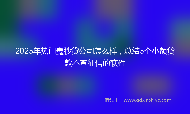 2025年热门鑫秒贷公司怎么样，总结5个小额贷款不查征信的软件