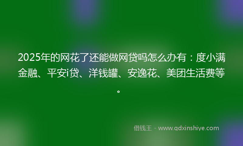 2025年的网花了还能做网贷吗怎么办有：度小满金融、平安i贷、洋钱罐、安逸花、美团生活费等。