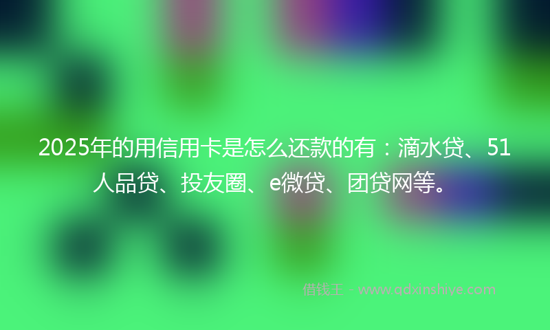 2025年的用信用卡是怎么还款的有：滴水贷、51人品贷、投友圈、e微贷、团贷网等。