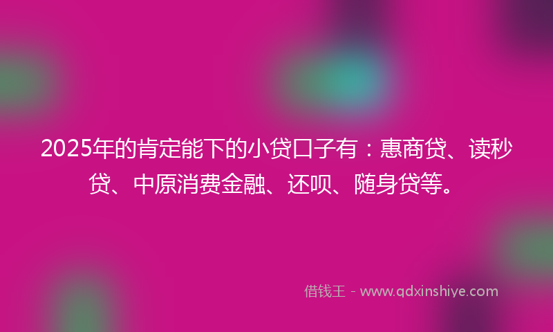 2025年的肯定能下的小贷口子有：惠商贷、读秒贷、中原消费金融、还呗、随身贷等。