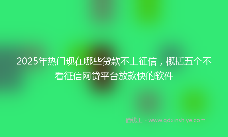 2025年热门现在哪些贷款不上征信，概括五个不看征信网贷平台放款快的软件