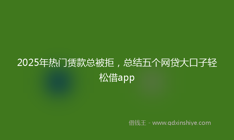 2025年热门赁款总被拒，总结五个网贷大口子轻松借app