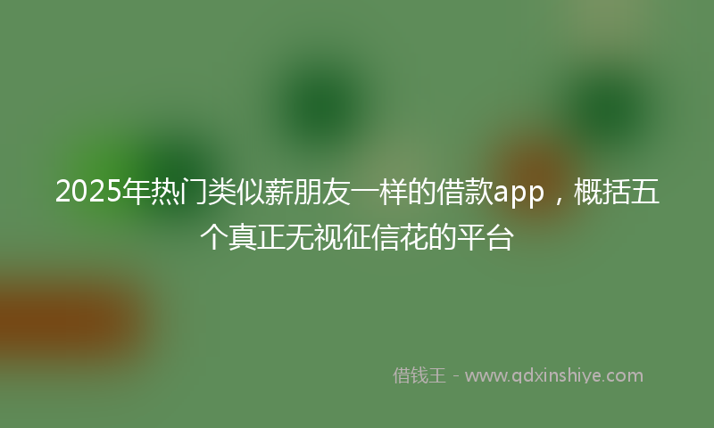 2025年热门类似薪朋友一样的借款app，概括五个真正无视征信花的平台