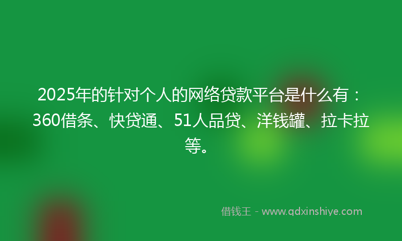 2025年的针对个人的网络贷款平台是什么有：360借条、快贷通、51人品贷、洋钱罐、拉卡拉等。