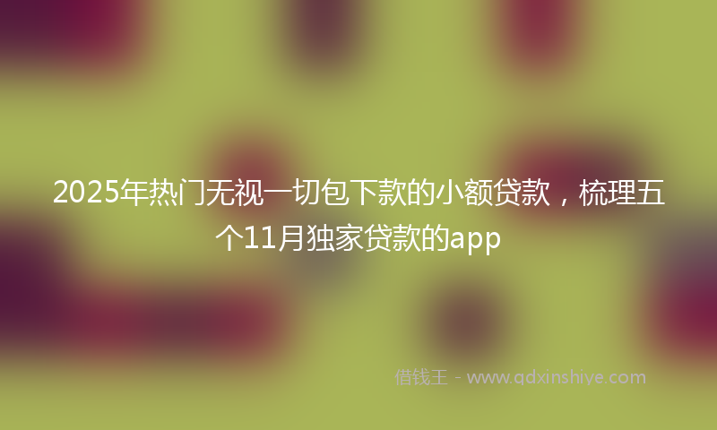 2025年热门无视一切包下款的小额贷款，梳理五个11月独家贷款的app