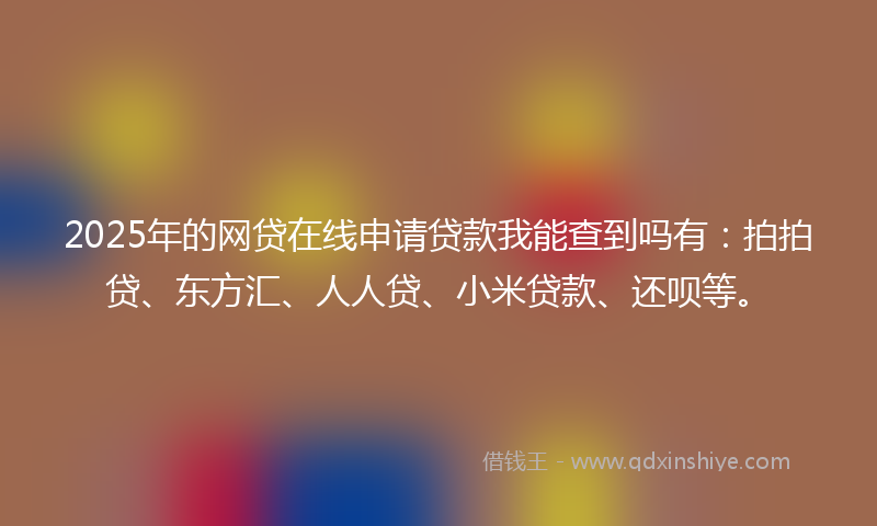 2025年的网贷在线申请贷款我能查到吗有：拍拍贷、东方汇、人人贷、小米贷款、还呗等。