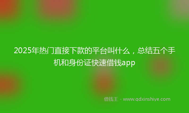 2025年热门直接下款的平台叫什么，总结五个手机和身份证快速借钱app