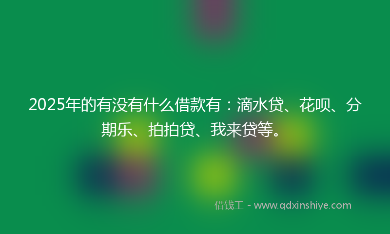 2025年的有没有什么借款有：滴水贷、花呗、分期乐、拍拍贷、我来贷等。