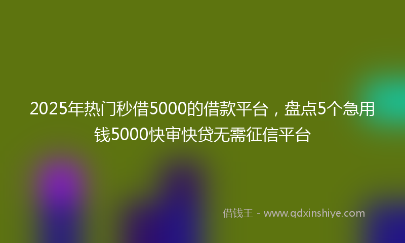 2025年热门秒借5000的借款平台，盘点5个急用钱5000快审快贷无需征信平台