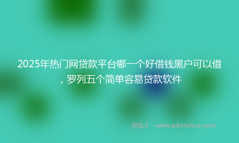 2025年热门网贷款平台哪一个好借钱黑户可以借，罗列五个简单容易贷款软件