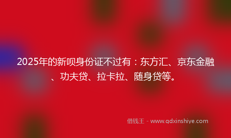 2025年的新呗身份证不过有：东方汇、京东金融、功夫贷、拉卡拉、随身贷等。