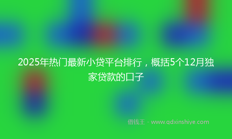 2025年热门最新小贷平台排行，概括5个12月独家贷款的口子
