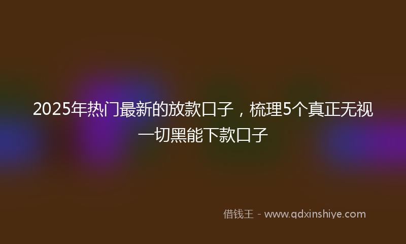 2025年热门最新的放款口子，梳理5个真正无视一切黑能下款口子