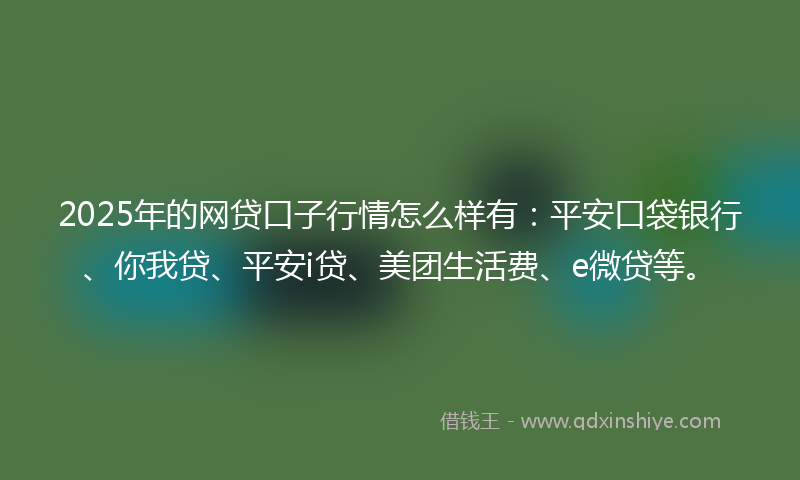 2025年的网贷口子行情怎么样有：平安口袋银行、你我贷、平安i贷、美团生活费、e微贷等。