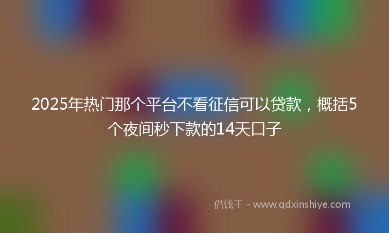 2025年热门那个平台不看征信可以贷款，概括5个夜间秒下款的14天口子