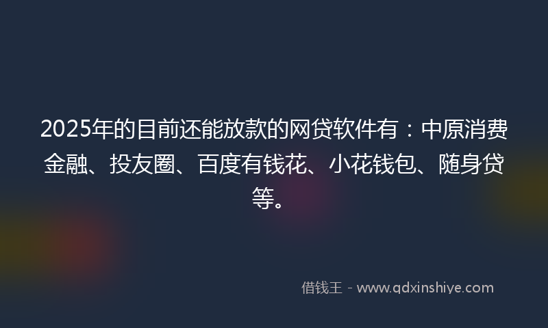 2025年的目前还能放款的网贷软件有：中原消费金融、投友圈、百度有钱花、小花钱包、随身贷等。