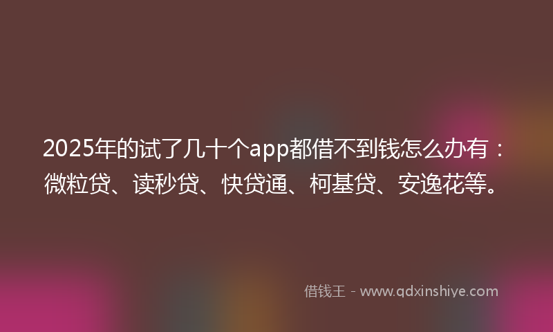2025年的试了几十个app都借不到钱怎么办有：微粒贷、读秒贷、快贷通、柯基贷、安逸花等。