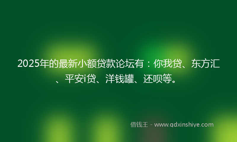 2025年的最新小额贷款论坛有：你我贷、东方汇、平安i贷、洋钱罐、还呗等。