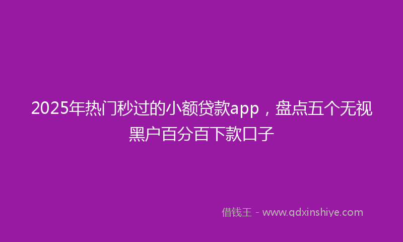 2025年热门秒过的小额贷款app，盘点五个无视黑户百分百下款口子