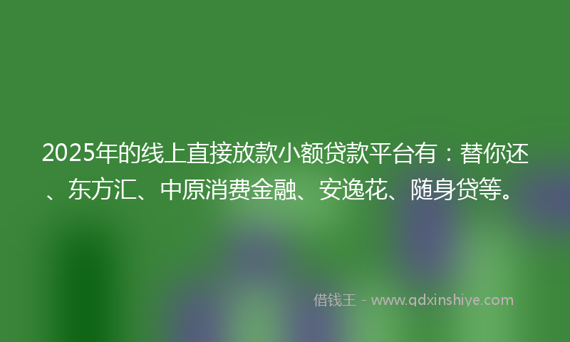 2025年的线上直接放款小额贷款平台有：替你还、东方汇、中原消费金融、安逸花、随身贷等。