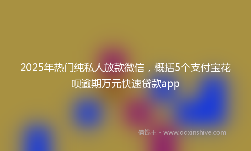 2025年热门纯私人放款微信，概括5个支付宝花呗逾期万元快速贷款app