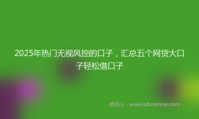 2025年热门无视风控的口子，汇总五个网贷大口子轻松借口子
