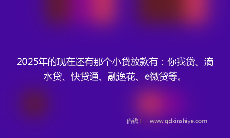 2025年的现在还有那个小贷放款有：你我贷、滴水贷、快贷通、融逸花、e微贷等。