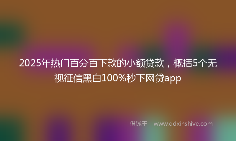 2025年热门百分百下款的小额贷款，概括5个无视征信黑白100%秒下网贷app