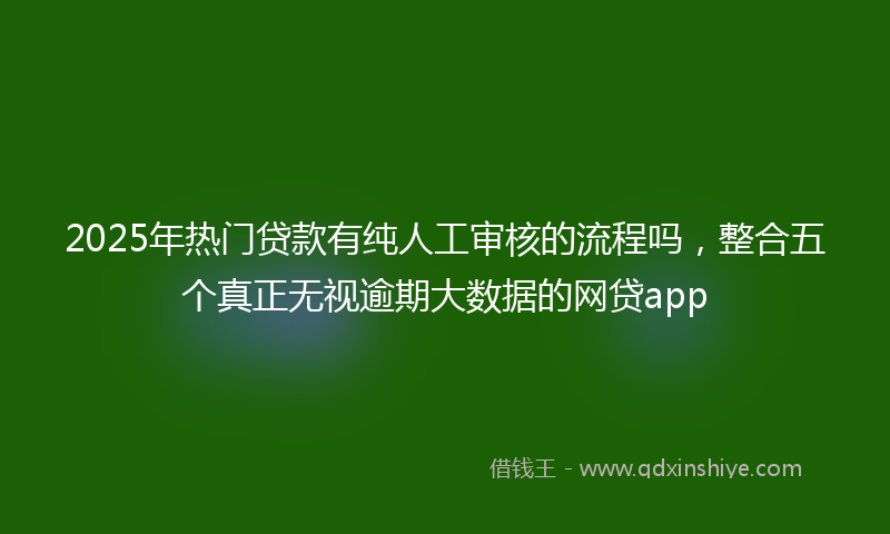 2025年热门贷款有纯人工审核的流程吗，整合五个真正无视逾期大数据的网贷app
