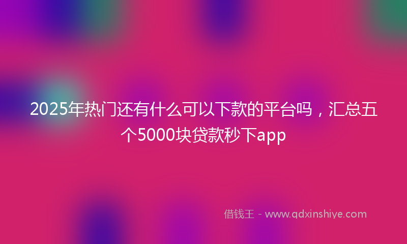 2025年热门还有什么可以下款的平台吗，汇总五个5000块贷款秒下app