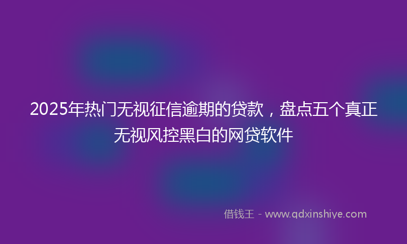 2025年热门无视征信逾期的贷款，盘点五个真正无视风控黑白的网贷软件